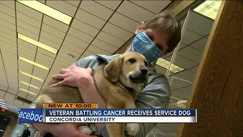 Battle Buddy: Veteran fighting cancer, PTSD receives service dog