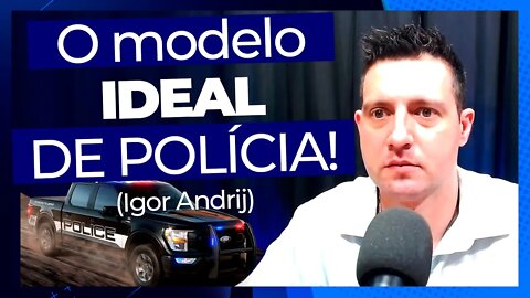 O MODELO IDEAL DE POLÍCIA - IGOR ANDRIJ