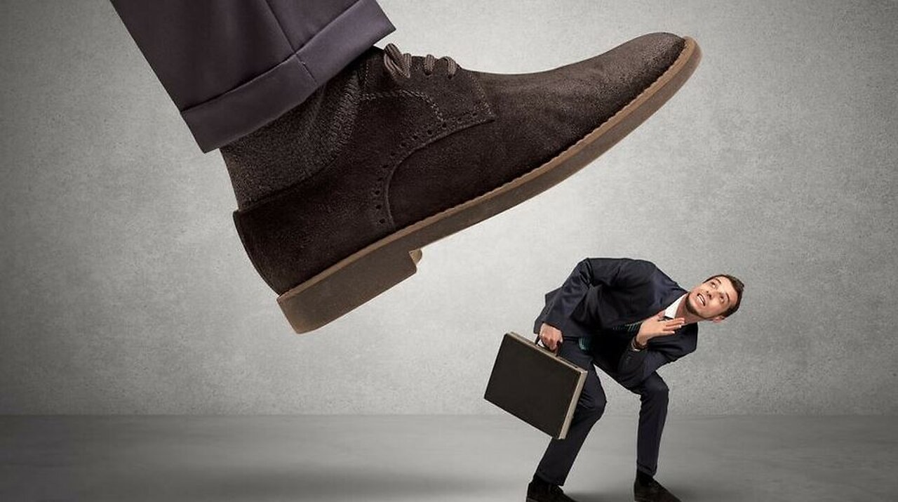 Unveiling the Mismatch Between University Graduates and Market Demand