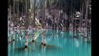 Trip to lake Kaindy, Kazakhstan