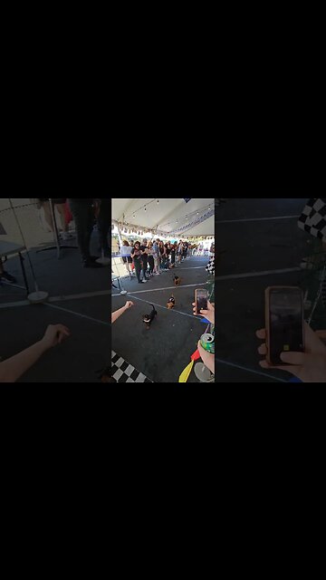 Weiner dog racing (INSANE SPEED) #shorts #funnyshorts