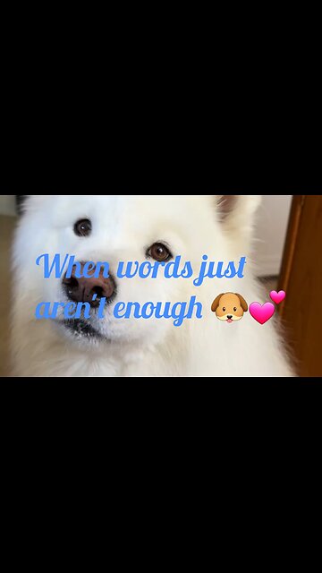 When Words Just Aren't Enough