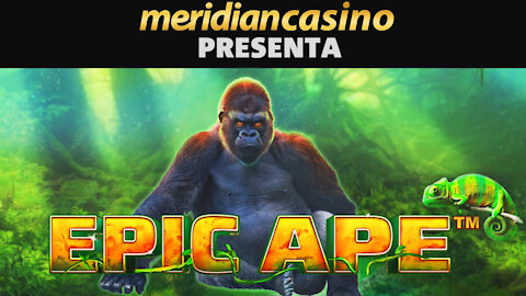 EPIC APE 🐵🎰 | MERIDIAN CASINO | MERIDIANBET