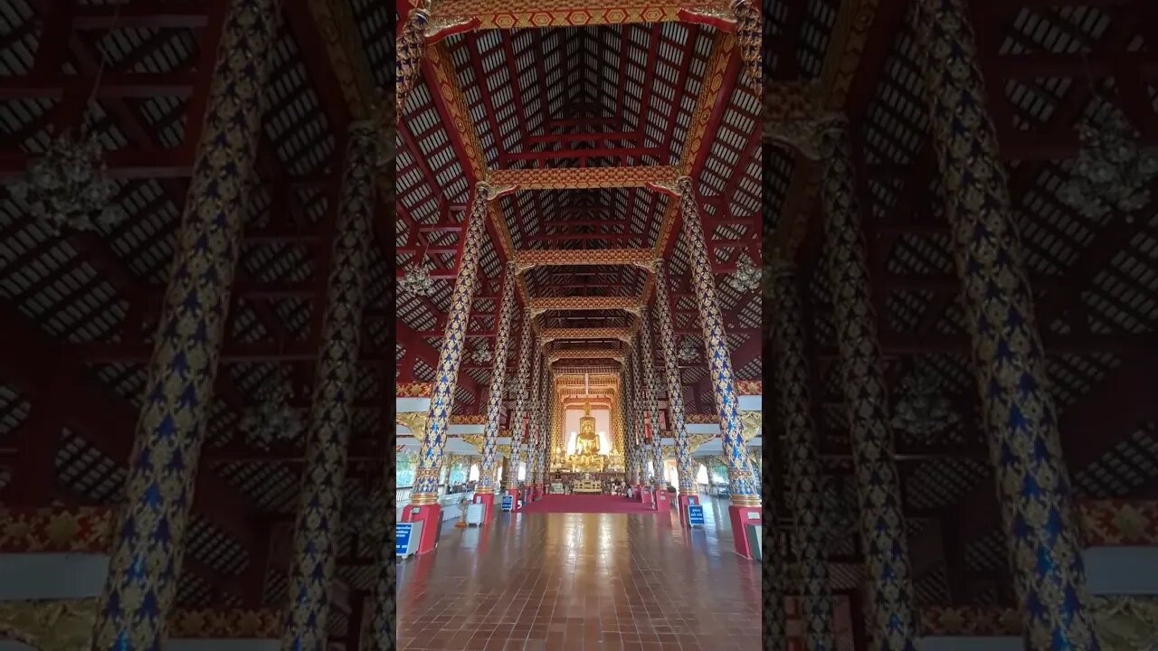 Wat Suan Dok Temple Chiang Mai Thailand 🇹🇭 #shorts #Thailand #chiangmai #Temple #expat #travel