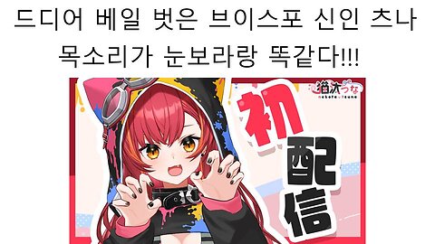 브이스포 소속 신인 버튜버 츠나로 돌아온 니지산지KR 눈보라