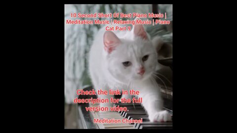 10 Second Short Of Best Piano Music | Meditation Music | Relaxing Music | Piano Cat Part 9 #shorts