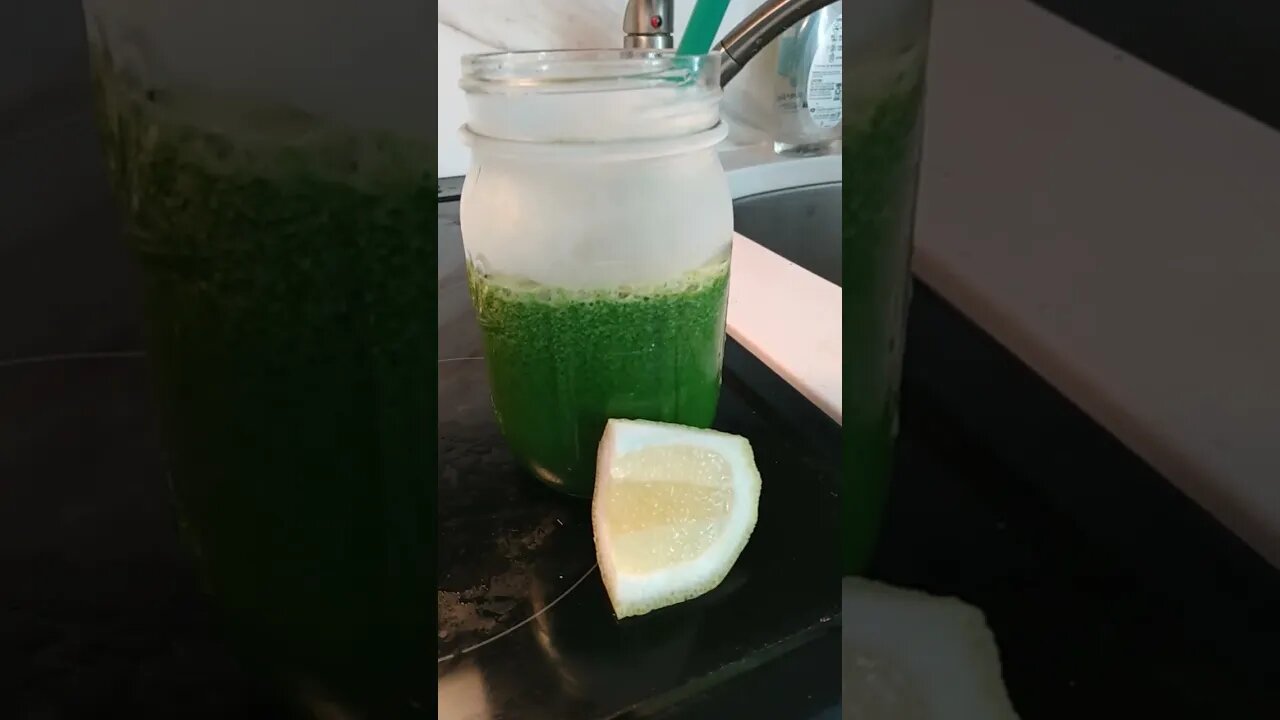 Day 10 of My 30-Day Green Juice Challenge 🍏🍏🍏🍏🍏