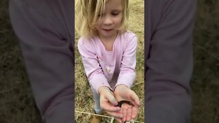 Huge Tadpole