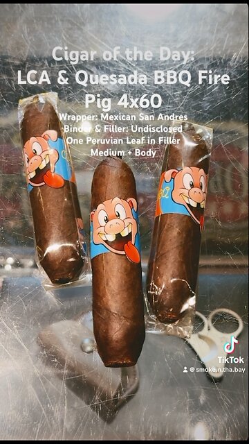LCA & Quesada BBQ Fire Pig 4x60 #CigarOfTheDay #Short #Cigars #Shorts #Cigar #SNTB #BBQPig