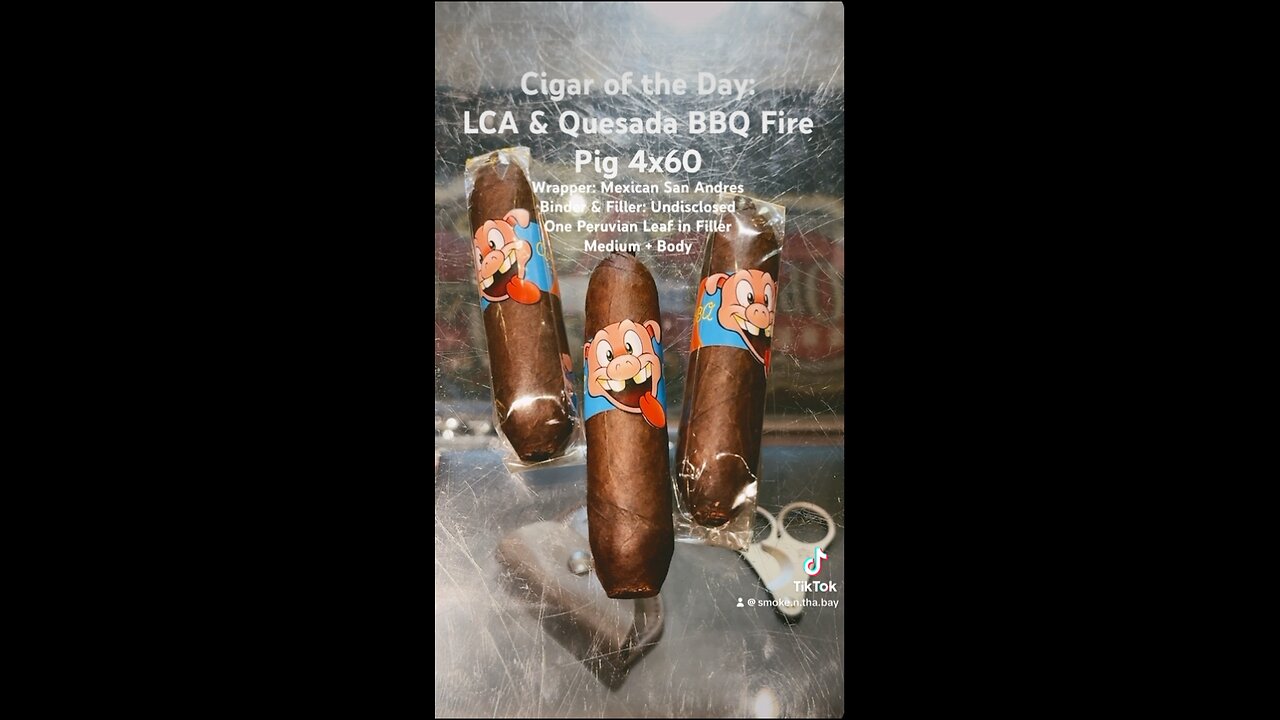 LCA & Quesada BBQ Fire Pig 4x60 #CigarOfTheDay #Short #Cigars #Shorts #Cigar #SNTB #BBQPig