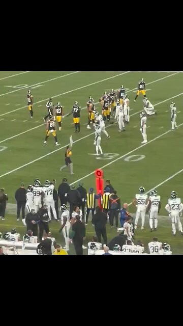 Woman charges the field 🏃‍♀️ at Steelers vs. Jets game with pro-Trump sign