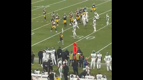 Woman charges the field 🏃‍♀️ at Steelers vs. Jets game with pro-Trump sign