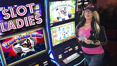 Laycee Gets Some Tail! 🐒Ring-Tailed Wild Slot Fun! 🎰| Slot Ladies