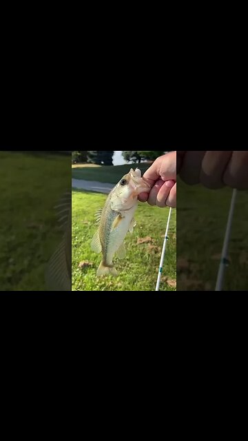 sneaking onto a golf course after hours to fish!