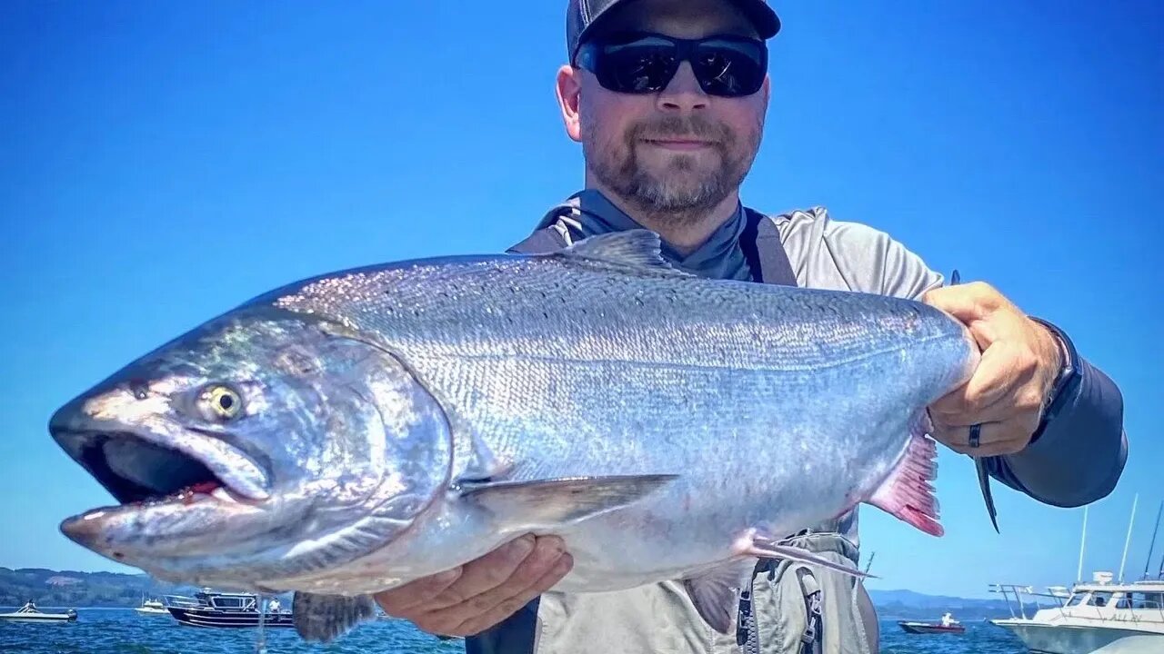 2021 Fall Salmon Fishing Round Robin Discussion. (Multiple Special Guests!!!)