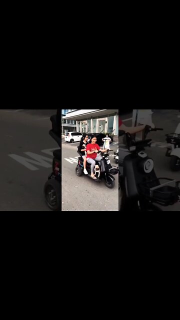 So sweet 🥰🥰 #puglover #pug #puglover #dogsoftwitter