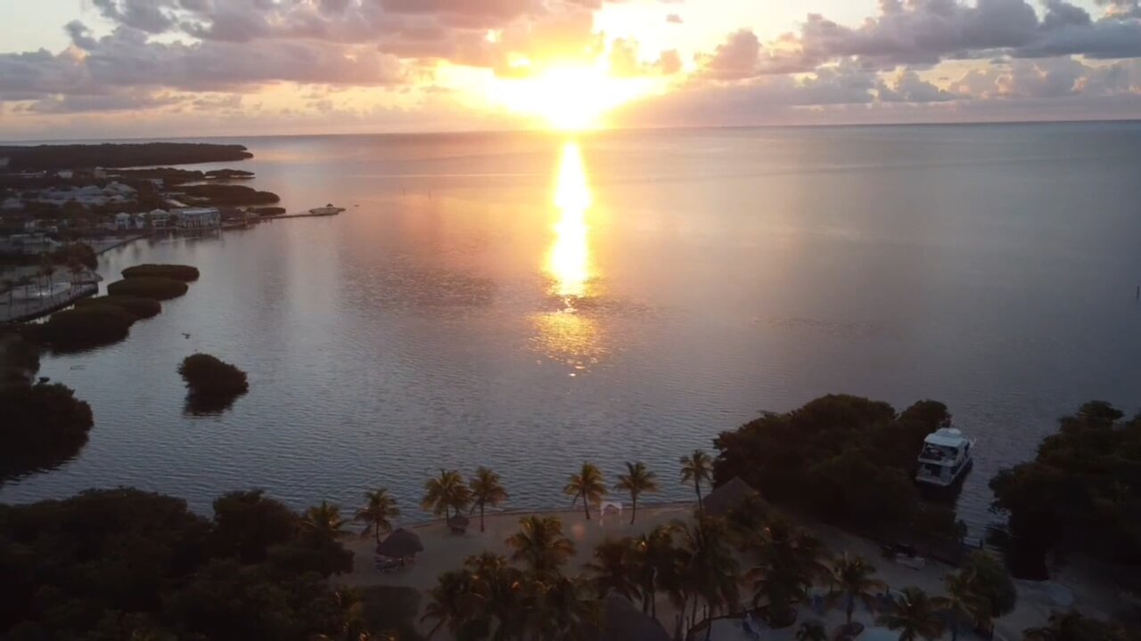  Islamorada Florida - 7 Mile Bridge - Manatee Sighting - Drone Footage