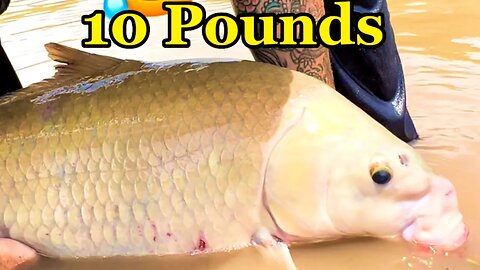 Easy Fishing Hack To Catch Bigger Fish (Fishing On EASY Mode!)