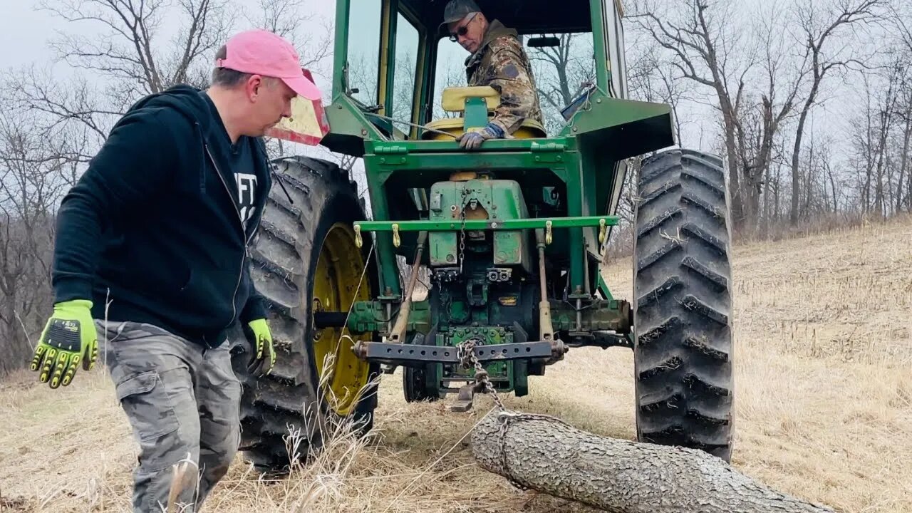 Firewood Windfall - Adventures on the Farm