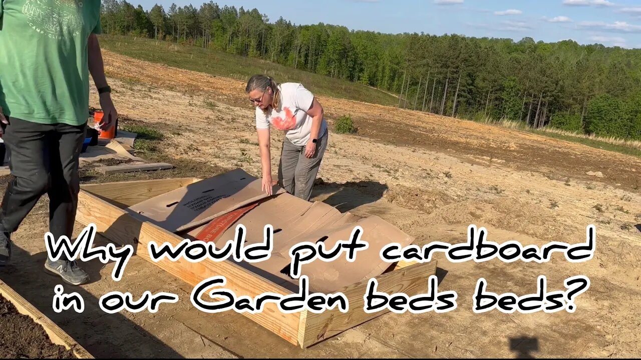 Making garden beds ,Why we put cardboard down #hedgehogshomestead #gardening