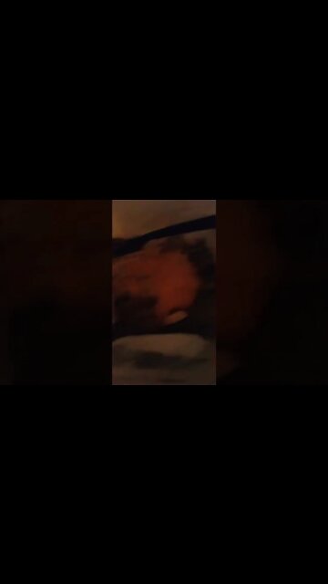 cheese fries with shrimp 🍤 #seafood #season #youtubeshorts #mukbang #food #foodie #foodlover #shrimp