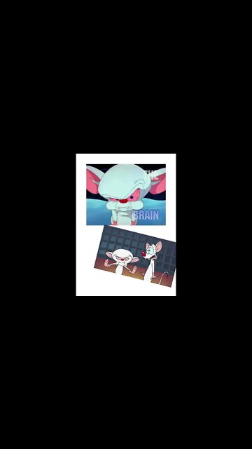 desenho o pink e o cerebro #shorts