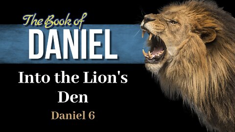 11 Dan 6 Into the Lion's Den