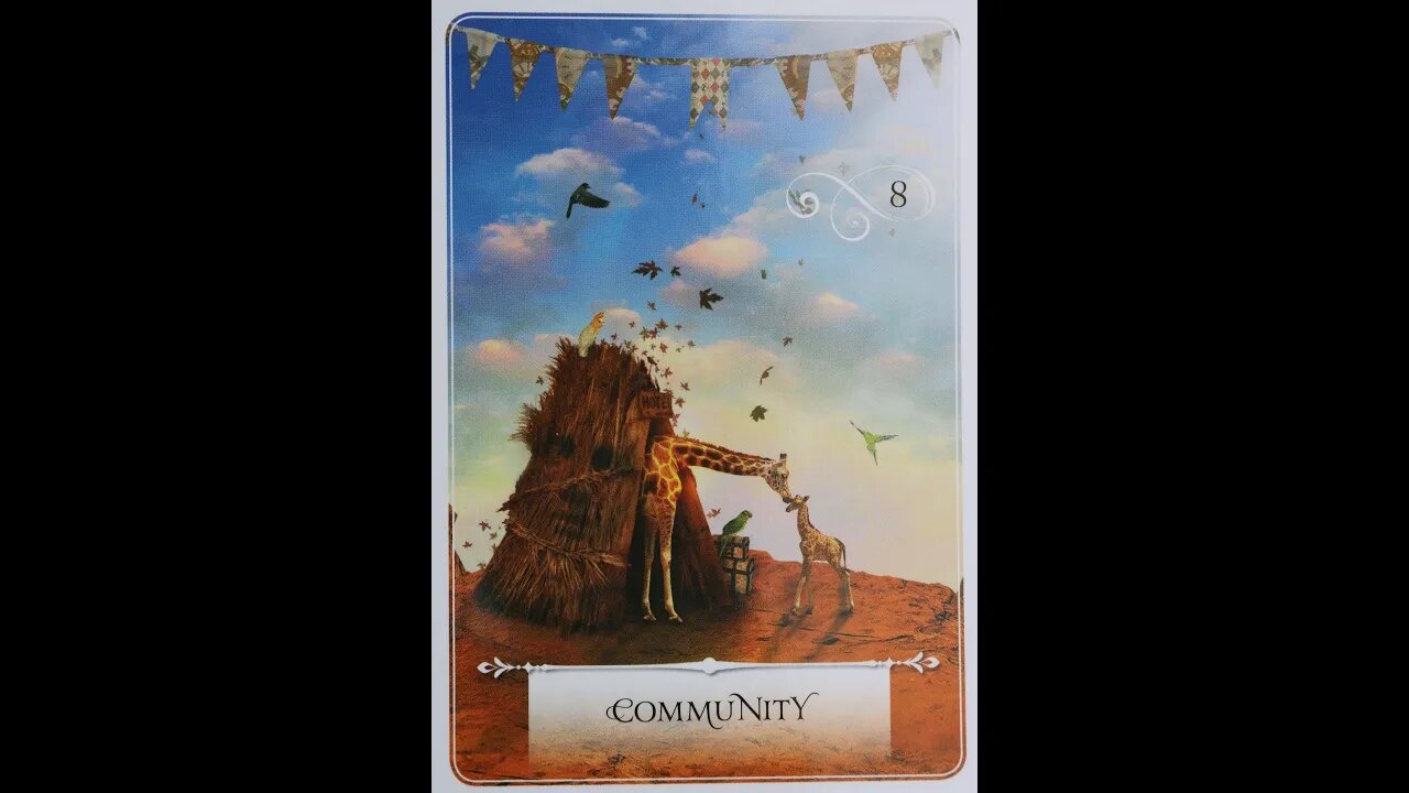 #8 Community