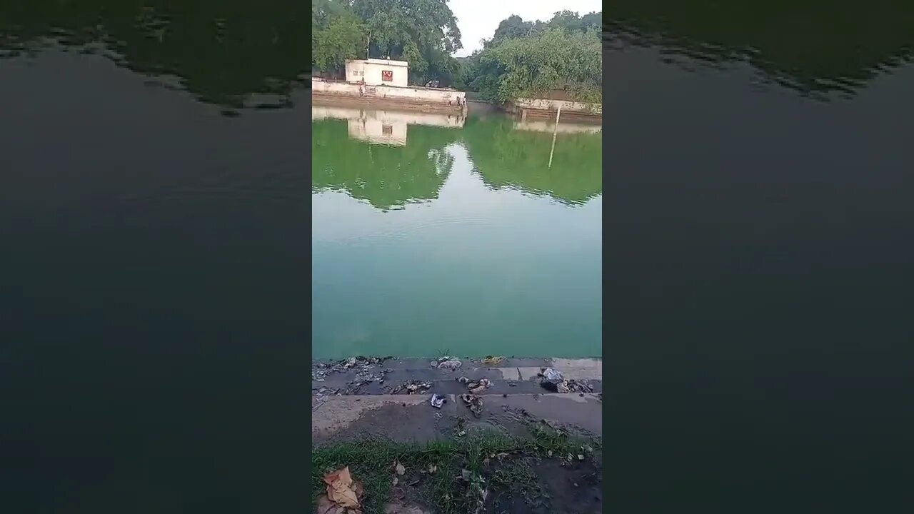 heavy rain safari status