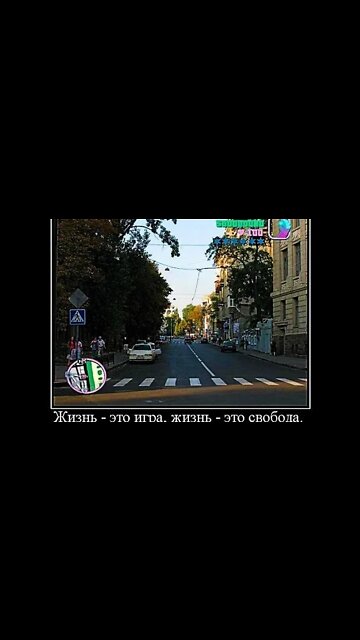 Жизнь - это игра, жизнь - это свобода. #shorts #demotivator #meme