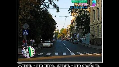 Жизнь - это игра, жизнь - это свобода. #shorts #demotivator #meme