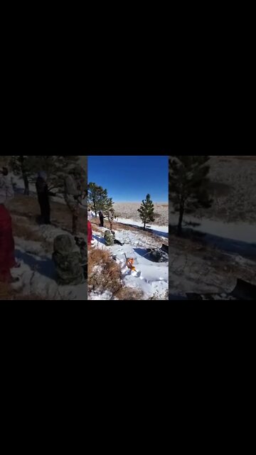 2022 Christmas Tree Tag - FILLED #ChristmasTree #shorts #2ndamendment #christmas