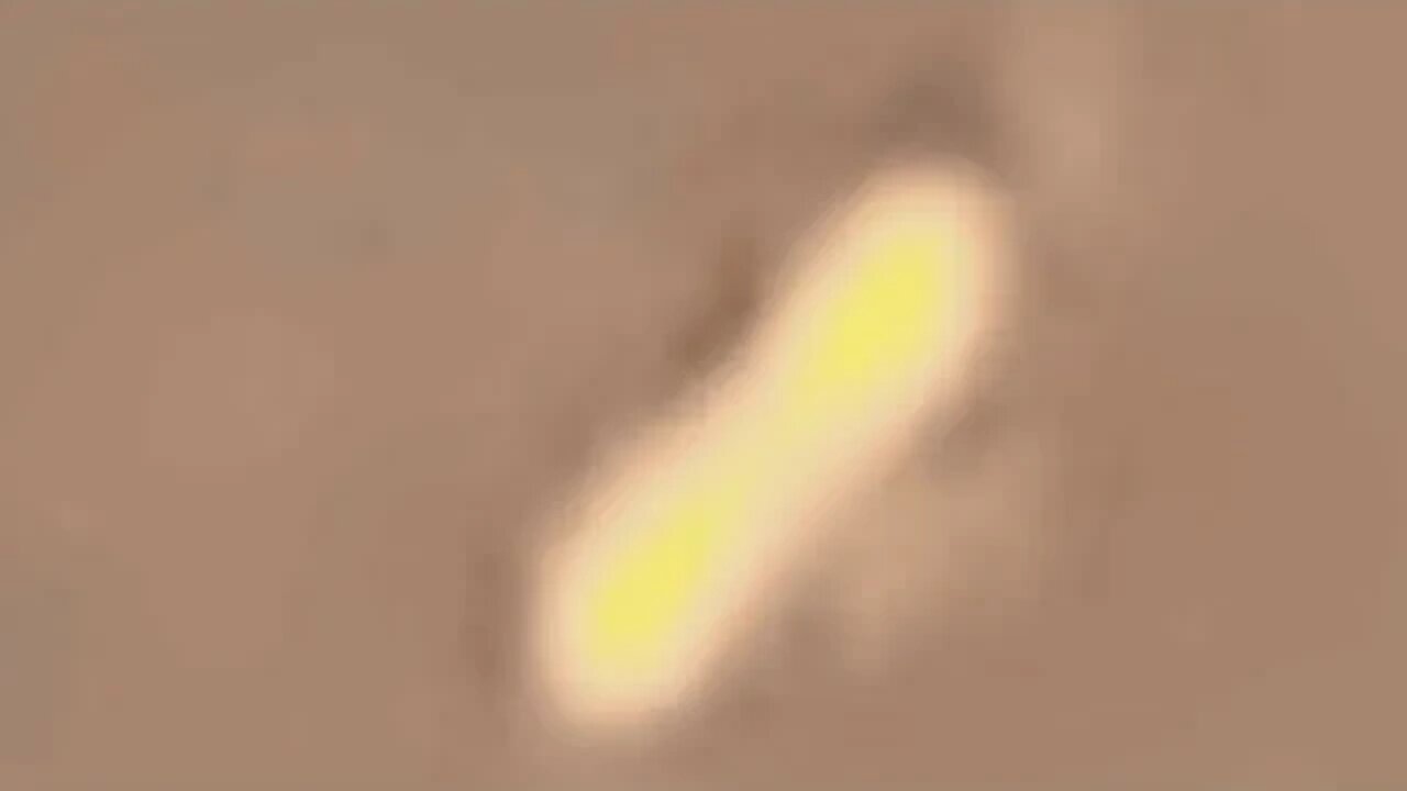 Invisible ship makes itself visible.