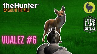 The Hunter: Call of the Wild, Vualez #6 Layton Lakes (PS5 4K)