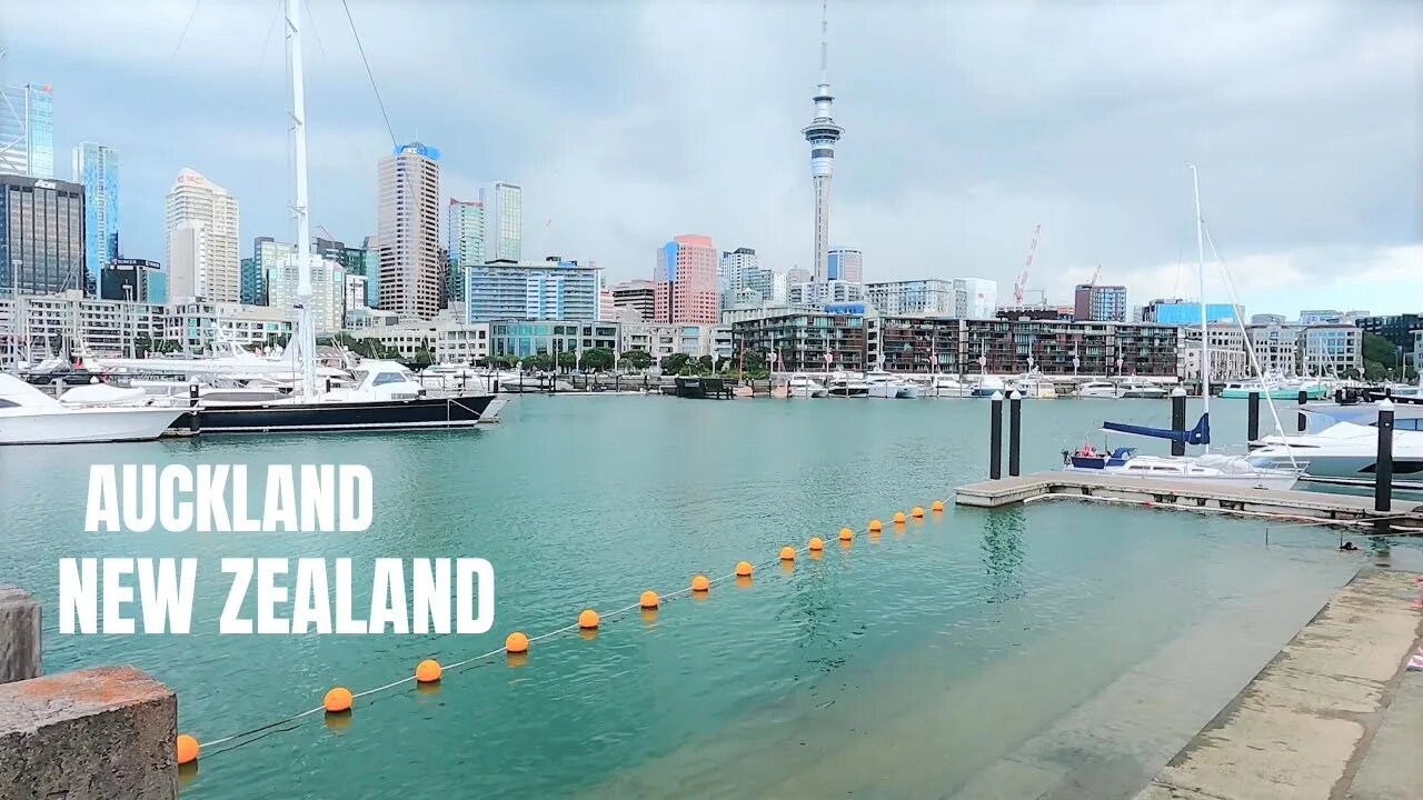 🇳🇿 Auckland, New Zealand 4k walking tour