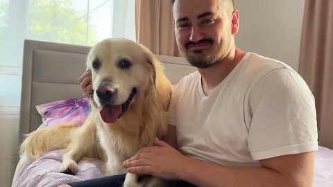 Golden Retriever Funny Reaction to Adorable Bunny