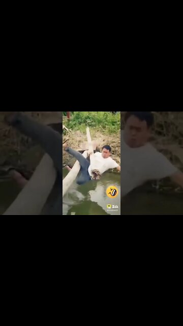 Funniest Fun Amazing videos must Entertainment comedy 2022🤣 #shorts #shortsfeed