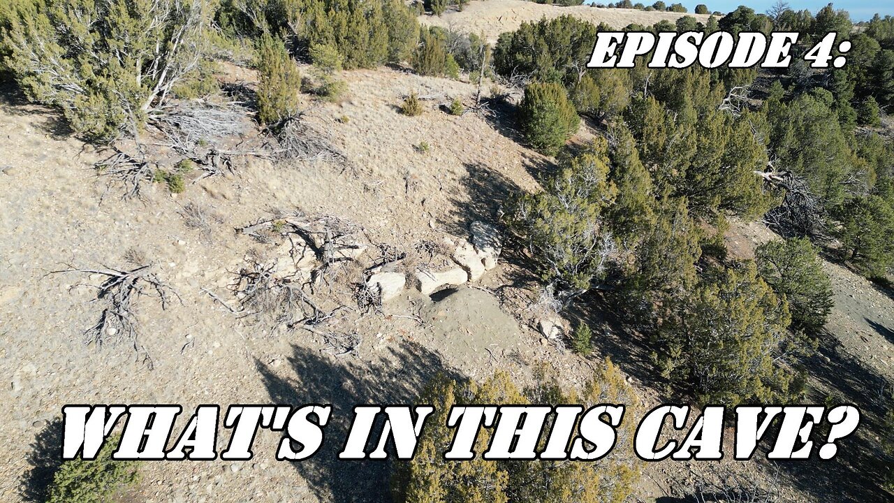 Episode 4: The Bear, The History and the Mysterious Tracks