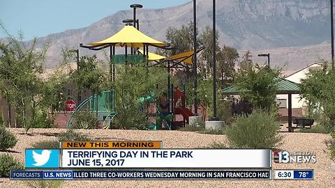 Boy shot by a BB Gun at a park in Mountain's Edge