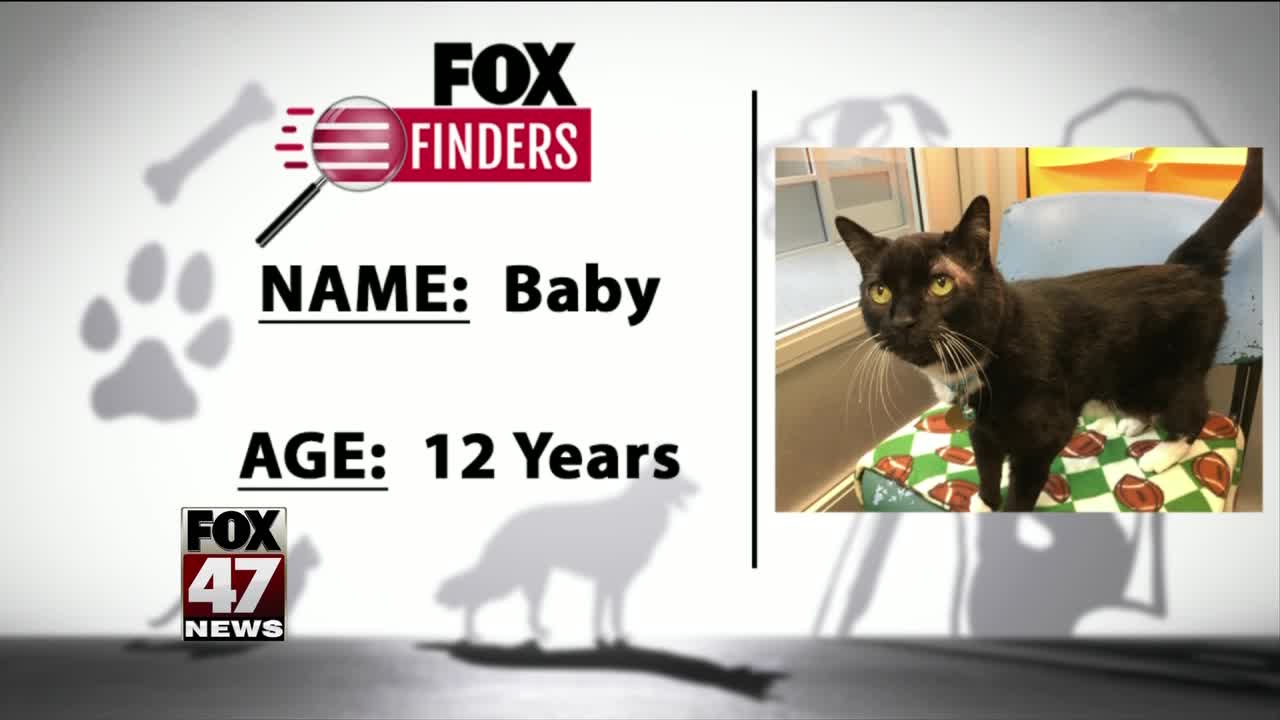 FOX Finders Pet Finder - Baby