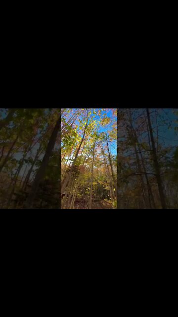 Fall is the MOST beautiful