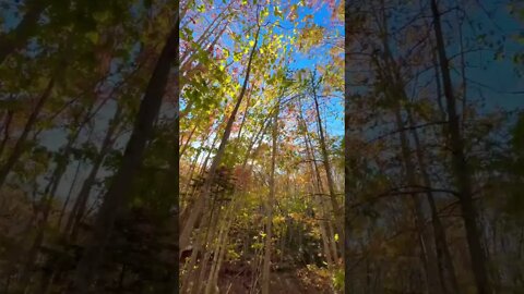 Fall is the MOST beautiful