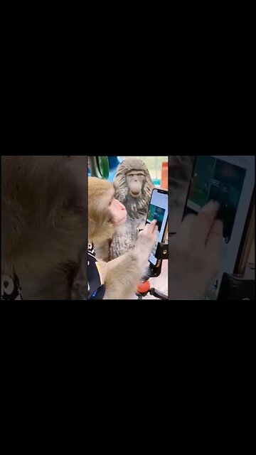 Most Amazing and trending video||relaxing your mind||trendig videos|| #shorts #trending #viral #live