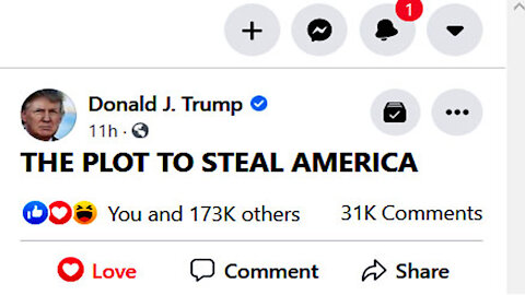 Donald J Trump Presents ~The Plot to Steal America~