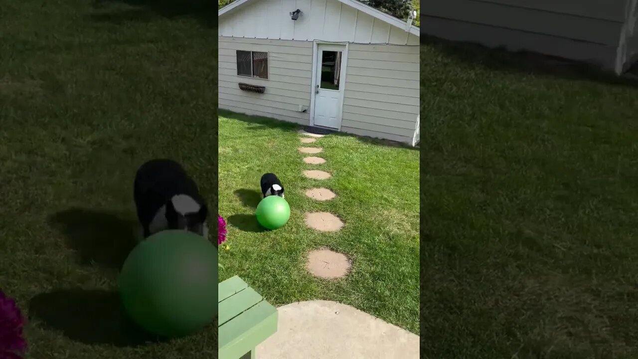 4C270761 D12C 42E6 90A2 F1963FC20148