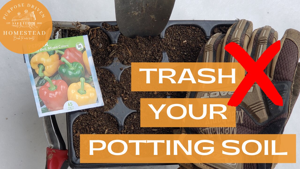 5 Reasons Not to Use Potting Soil (and a Better Alternative) 🌱🍅🥕🌱