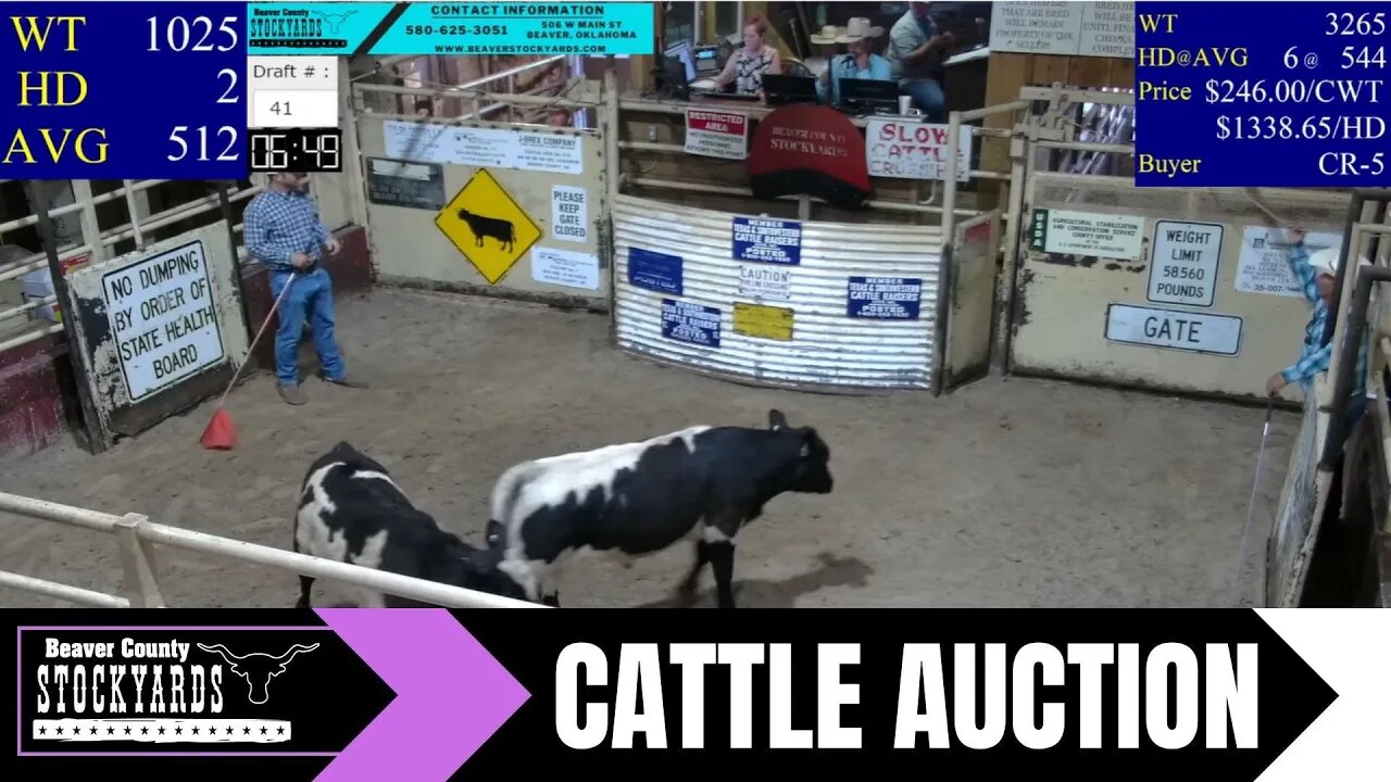 8/1/2023 - Beaver County Stockyards Livestock Auction