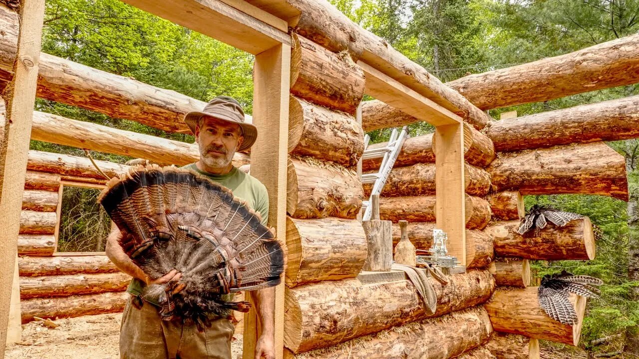 Wild Turkey and Log Cabin Building in the Canadian Wilderness