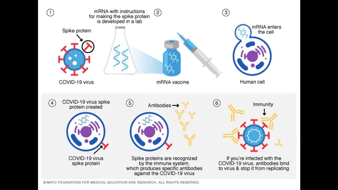 PfizerGate: COVID-19 Vaccination Causes Acquired Immunodeficiency Syndrome