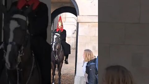 Tour guide telling off other tourists he does not like it #horseguardsparade